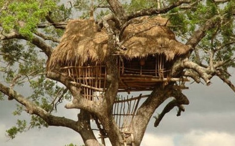Treehouse with the text 'that building Club, only held together... because the word, 'together' was what it actually held...'