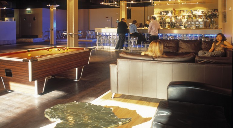 room with bar, pool table, sofas and Africa-shaped coffee table
