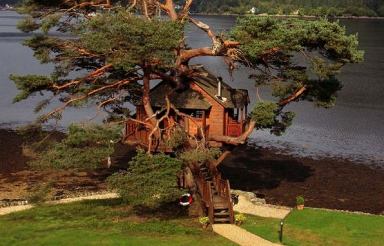 Treehouse by a lake