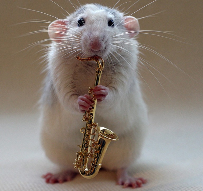 So all the lads popped in for a jam...