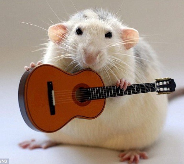 & they didn't play the guitar either...